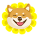 春節期間，狂犬疫苗注射不停歇